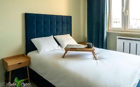 Apartament Dzika Paproć